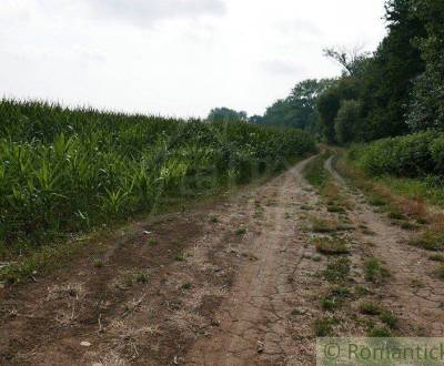 Sale Agrarian and forest land, Agrarian and forest land, Pezinok, Slov