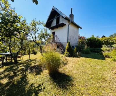 Sale Cottage, Cottage, Michalovce, Slovakia