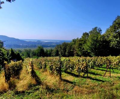 Sale Vineyards, Vineyards, Michalovce, Slovakia