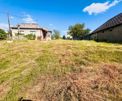 Sale Family house, Family house, Sobrance, Slovakia