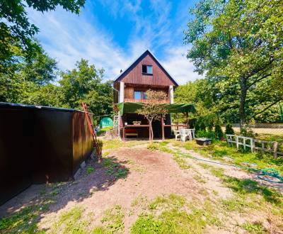 Sale Cottage, Cottage, Michalovce, Slovakia