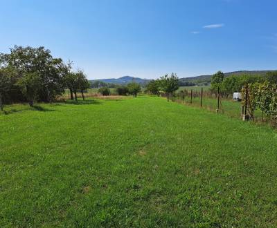 Sale Land – for living, Land – for living, Doľany, Pezinok, Slovakia