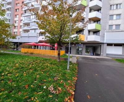 Rent Commercial premises, Commercial premises, Fedinova, Bratislava - 