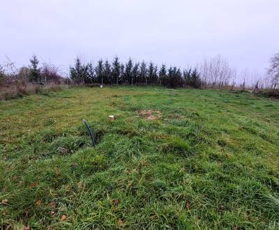 Sale Land – for living, Land – for living, Sľažany, Zlaté Moravce, Slo