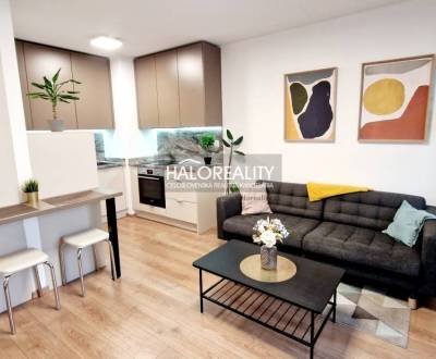 Rent One bedroom apartment, Bratislava - Nové Mesto, Slovakia