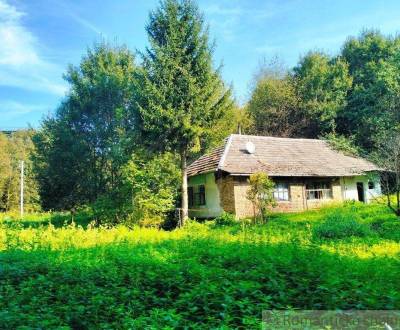 Sale Cottage, Cottage, Nové Mesto nad Váhom, Slovakia