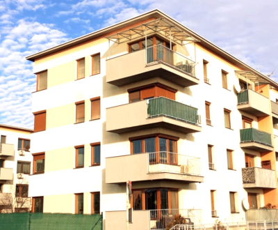 Sale One bedroom apartment, One bedroom apartment, Pod Párovcami, Pieš