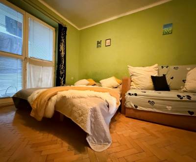 Sale One bedroom apartment, One bedroom apartment, Moyzesova, Ilava, S