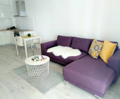 Rent One bedroom apartment, One bedroom apartment, Bratislava - Petrža