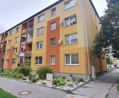 Rent One bedroom apartment, One bedroom apartment, Hlavná, Galanta, Sl