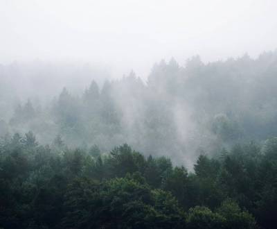 Sale Agrarian and forest land, Agrarian and forest land, Púchov, Slova