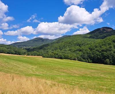 Sale Agrarian and forest land, Agrarian and forest land, Bardejov, Slo