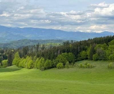 Sale Agrarian and forest land, Agrarian and forest land, Banská Bystri