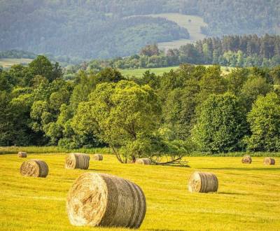 Sale Agrarian and forest land, Agrarian and forest land, Revúca, Slova