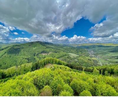 Sale Agrarian and forest land, Agrarian and forest land, Púchov, Slova