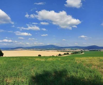 Sale Agrarian and forest land, Agrarian and forest land, Topoľčany, Sl