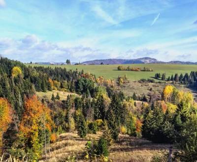 Sale Agrarian and forest land, Agrarian and forest land, Žilina, Slova