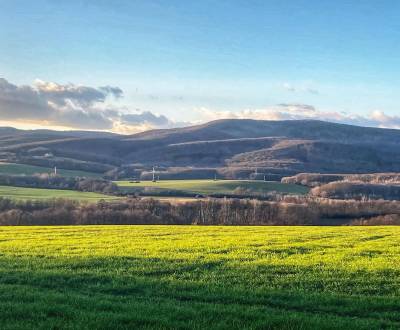 Sale Agrarian and forest land, Agrarian and forest land, Senec, Slovak