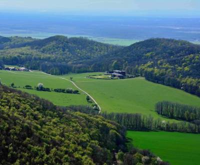 Sale Agrarian and forest land, Agrarian and forest land, Senica, Slova