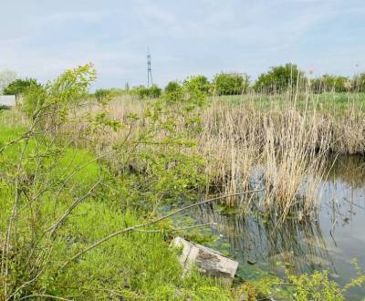 Sale Land – for living, Land – for living, Hadovce, Komárno, Slovakia