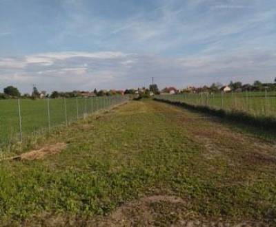 Sale Land – for living, Land – for living, Dunajská Streda, Slovakia