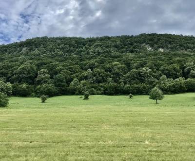 Sale Agrarian and forest land, Agrarian and forest land, Rožňava, Slov