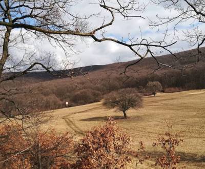 Sale Agrarian and forest land, Agrarian and forest land, Svidník, Slov