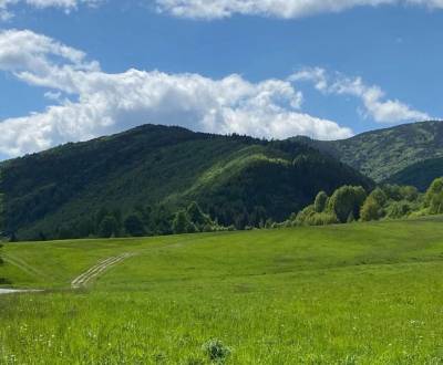 Sale Agrarian and forest land, Agrarian and forest land, Stará Ľubovňa