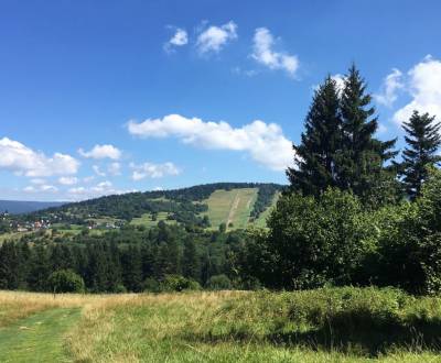 Sale Agrarian and forest land, Agrarian and forest land, Svidník, Slov