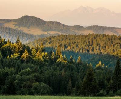 Sale Agrarian and forest land, Agrarian and forest land, Svidník, Slov