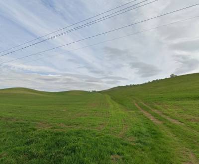 Sale Agrarian and forest land, Agrarian and forest land, Rimavská Sobo