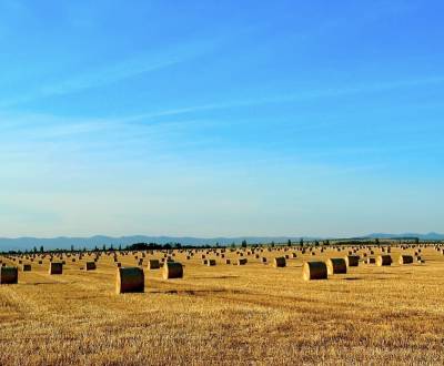 Sale Agrarian and forest land, Agrarian and forest land, Levice, Slova