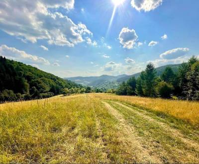 Sale Agrarian and forest land, Agrarian and forest land, Považská Byst