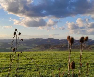 Sale Agrarian and forest land, Agrarian and forest land, Snina, Slovak