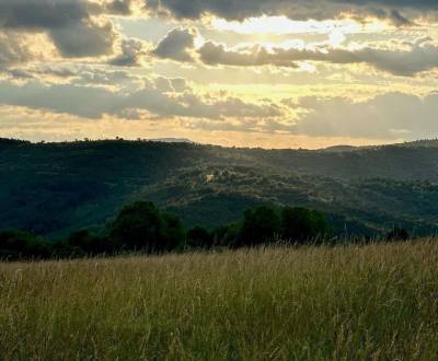 Sale Agrarian and forest land, Agrarian and forest land, Lučenec, Slov