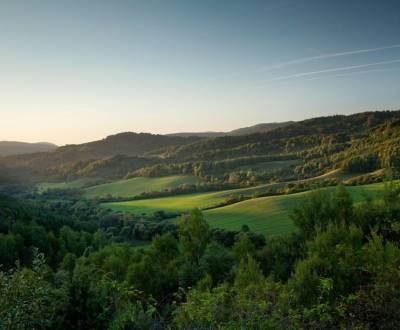 Sale Agrarian and forest land, Agrarian and forest land, Snina, Slovak