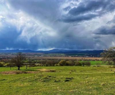 Sale Agrarian and forest land, Agrarian and forest land, Zlaté Moravce