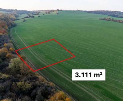 Sale Agrarian and forest land, Agrarian and forest land, Košice - Krás