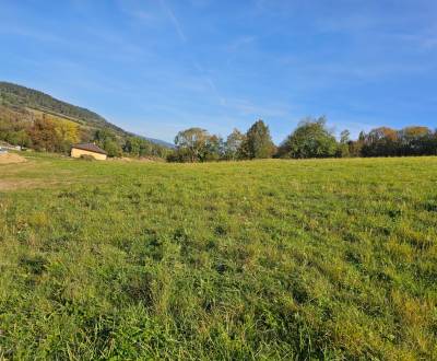 Sale Land – for living, Land – for living, Kežmarská, Levoča, Slovakia