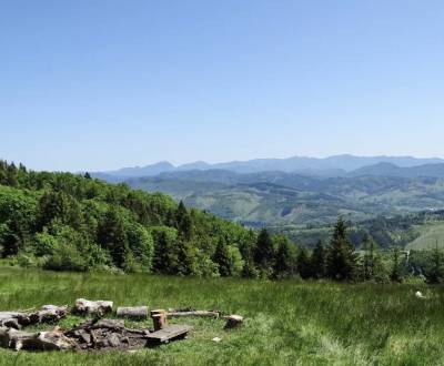 Sale Agrarian and forest land, Agrarian and forest land, Čadca, Slovak