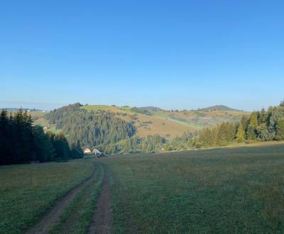 Sale Agrarian and forest land, Agrarian and forest land, Detva, Slovak