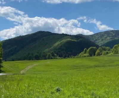 Sale Agrarian and forest land, Agrarian and forest land, Brezno, Slova