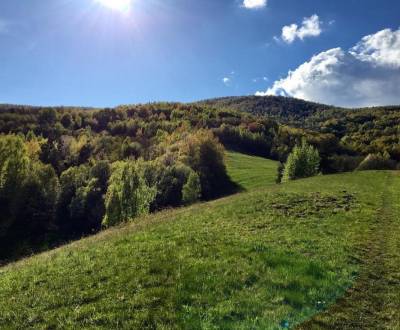 Sale Agrarian and forest land, Agrarian and forest land, Revúca, Slova