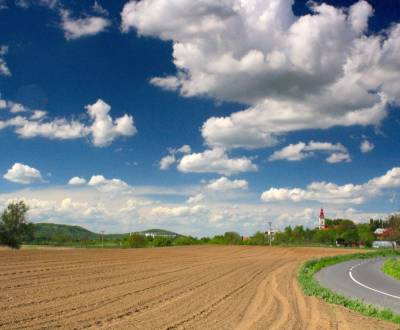 Sale Agrarian and forest land, Agrarian and forest land, Trebišov, Slo