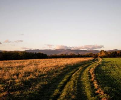 Sale Agrarian and forest land, Agrarian and forest land, Košice-okolie