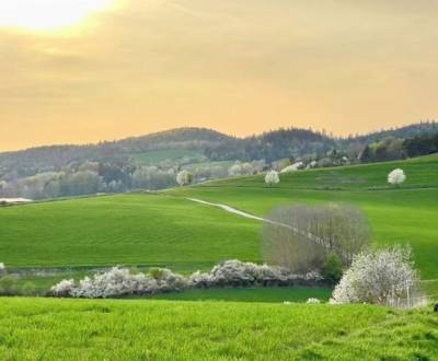 Sale Agrarian and forest land, Agrarian and forest land, Banská Bystri