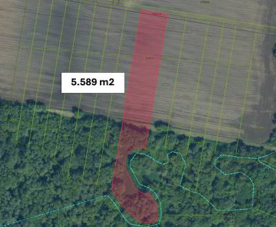 Sale Agrarian and forest land, Agrarian and forest land, Nové Zámky, S