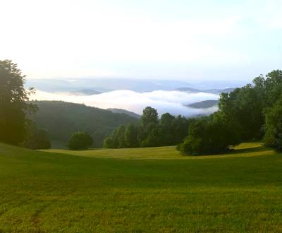 Sale Agrarian and forest land, Agrarian and forest land, Trenčín, Slov