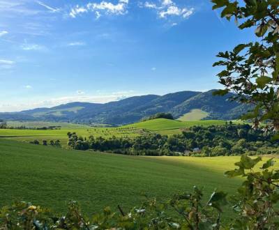 Sale Agrarian and forest land, Agrarian and forest land, Púchov, Slova