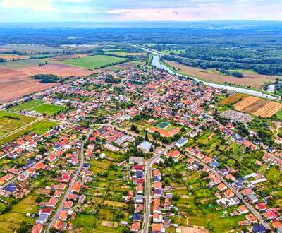 Sale Agrarian and forest land, Agrarian and forest land, Skalica, Slov